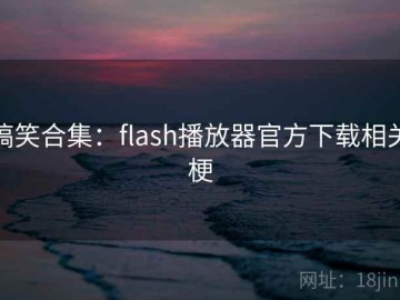 搞笑合集：flash播放器官方下载相关梗