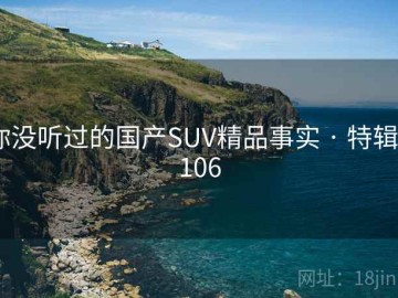 你没听过的国产SUV精品事实 · 特辑6106