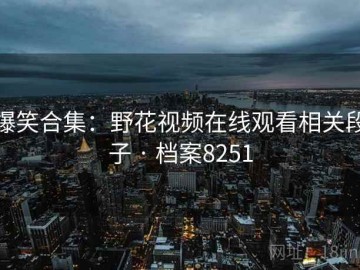 爆笑合集：野花视频在线观看相关段子 · 档案8251