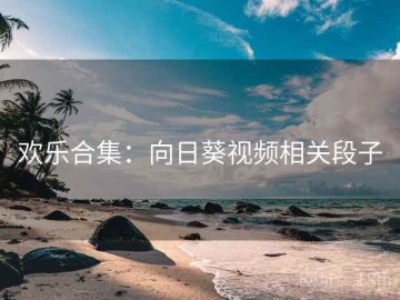 欢乐合集：向日葵视频相关段子