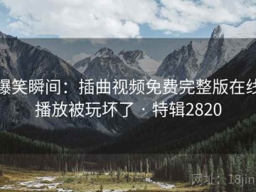 爆笑瞬间：插曲视频免费完整版在线播放被玩坏了 · 特辑2820