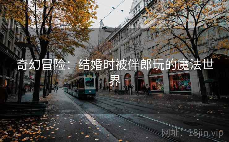 奇幻冒险：结婚时被伴郎玩的魔法世界