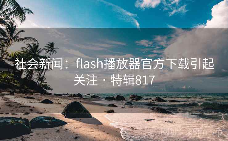 社会新闻：flash播放器官方下载引起关注 · 特辑817