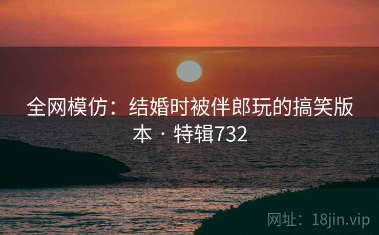 全网模仿：结婚时被伴郎玩的搞笑版本 · 特辑732